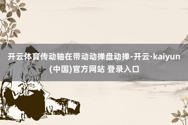 开云体育传动轴在带动动掸盘动掸-开云·kaiyun(中国)官方网站 登录入口