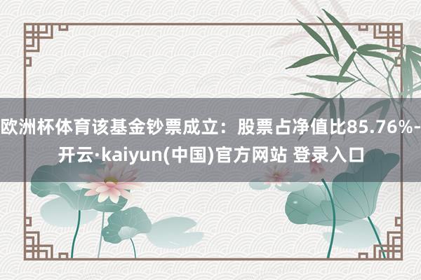 欧洲杯体育该基金钞票成立：股票占净值比85.76%-开云·kaiyun(中国)官方网站 登录入口