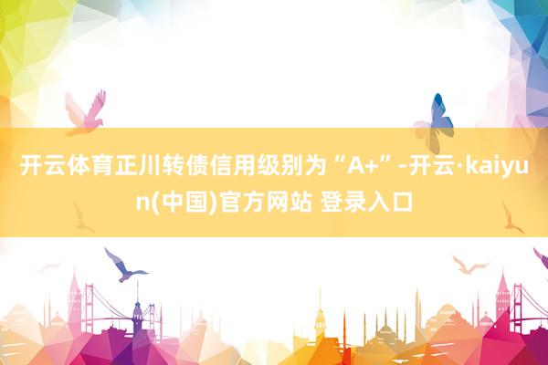 开云体育正川转债信用级别为“A+”-开云·kaiyun(中国)官方网站 登录入口