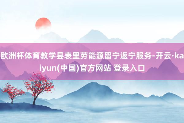 欧洲杯体育教学县表里劳能源留宁返宁服务-开云·kaiyun(中国)官方网站 登录入口