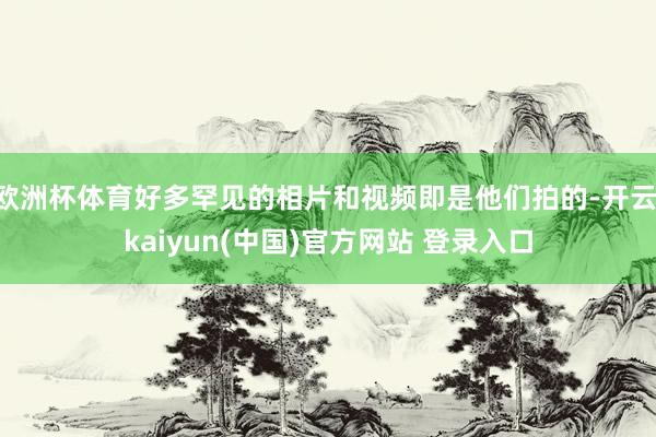 欧洲杯体育好多罕见的相片和视频即是他们拍的-开云·kaiyun(中国)官方网站 登录入口