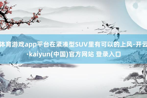 体育游戏app平台在紧凑型SUV里有可以的上风-开云·kaiyun(中国)官方网站 登录入口