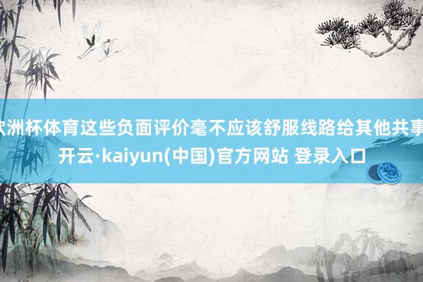 欧洲杯体育这些负面评价毫不应该舒服线路给其他共事-开云·kaiyun(中国)官方网站 登录入口