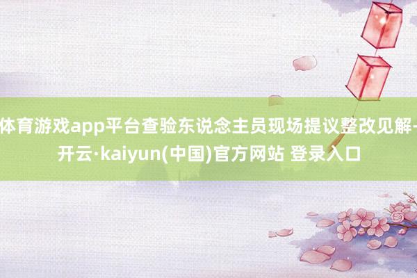 体育游戏app平台查验东说念主员现场提议整改见解-开云·kaiyun(中国)官方网站 登录入口