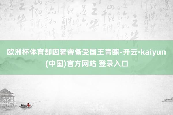 欧洲杯体育却因奢睿备受国王青睐-开云·kaiyun(中国)官方网站 登录入口