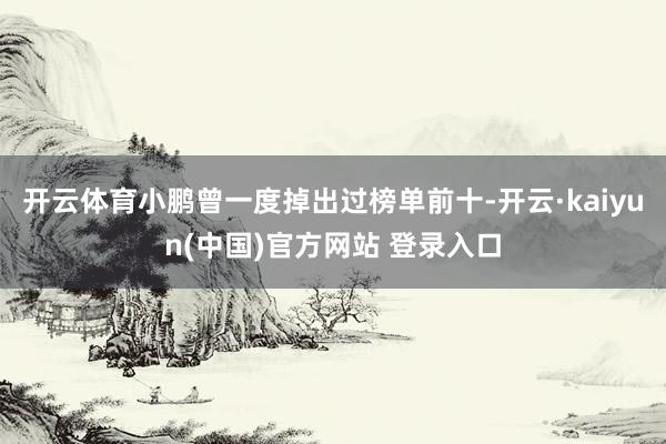 开云体育小鹏曾一度掉出过榜单前十-开云·kaiyun(中国)官方网站 登录入口