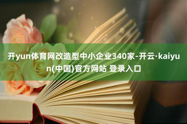 开yun体育网改造型中小企业340家-开云·kaiyun(中国)官方网站 登录入口