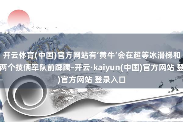 开云体育(中国)官方网站有‘黄牛’会在超等冰滑梯和摩天轮两个技俩军队前踯躅-开云·kaiyun(中国)官方网站 登录入口