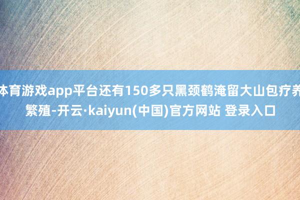 体育游戏app平台还有150多只黑颈鹤淹留大山包疗养繁殖-开云·kaiyun(中国)官方网站 登录入口