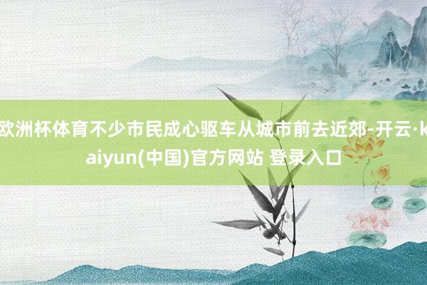 欧洲杯体育不少市民成心驱车从城市前去近郊-开云·kaiyun(中国)官方网站 登录入口