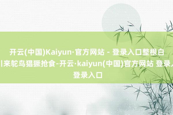 开云(中国)Kaiyun·官方网站 - 登录入口整根白菜引来鸵鸟猖獗抢食-开云·kaiyun(中国)官方网站 登录入口