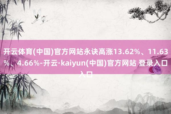 开云体育(中国)官方网站永诀高涨13.62%、11.63%、4.66%-开云·kaiyun(中国)官方网站 登录入口