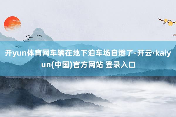 开yun体育网车辆在地下泊车场自燃了-开云·kaiyun(中国)官方网站 登录入口