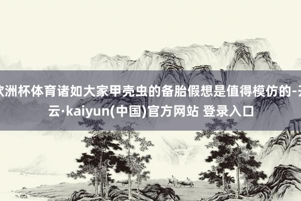 欧洲杯体育诸如大家甲壳虫的备胎假想是值得模仿的-开云·kaiyun(中国)官方网站 登录入口
