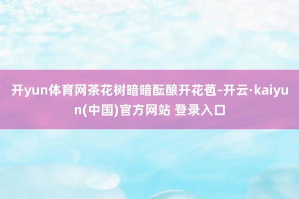 开yun体育网茶花树暗暗酝酿开花苞-开云·kaiyun(中国)官方网站 登录入口