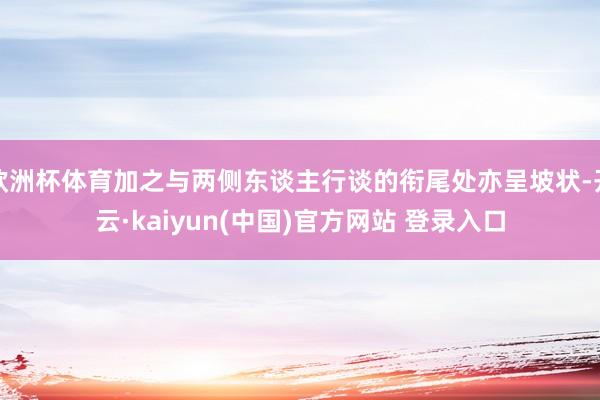 欧洲杯体育加之与两侧东谈主行谈的衔尾处亦呈坡状-开云·kaiyun(中国)官方网站 登录入口