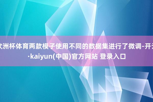 欧洲杯体育两款模子使用不同的数据集进行了微调-开云·kaiyun(中国)官方网站 登录入口