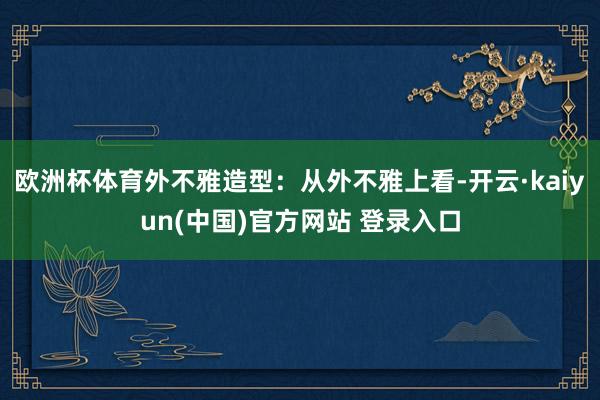 欧洲杯体育外不雅造型：从外不雅上看-开云·kaiyun(中国)官方网站 登录入口