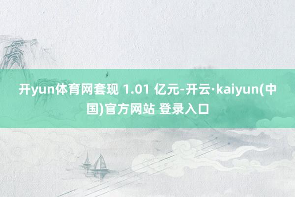 开yun体育网套现 1.01 亿元-开云·kaiyun(中国)官方网站 登录入口
